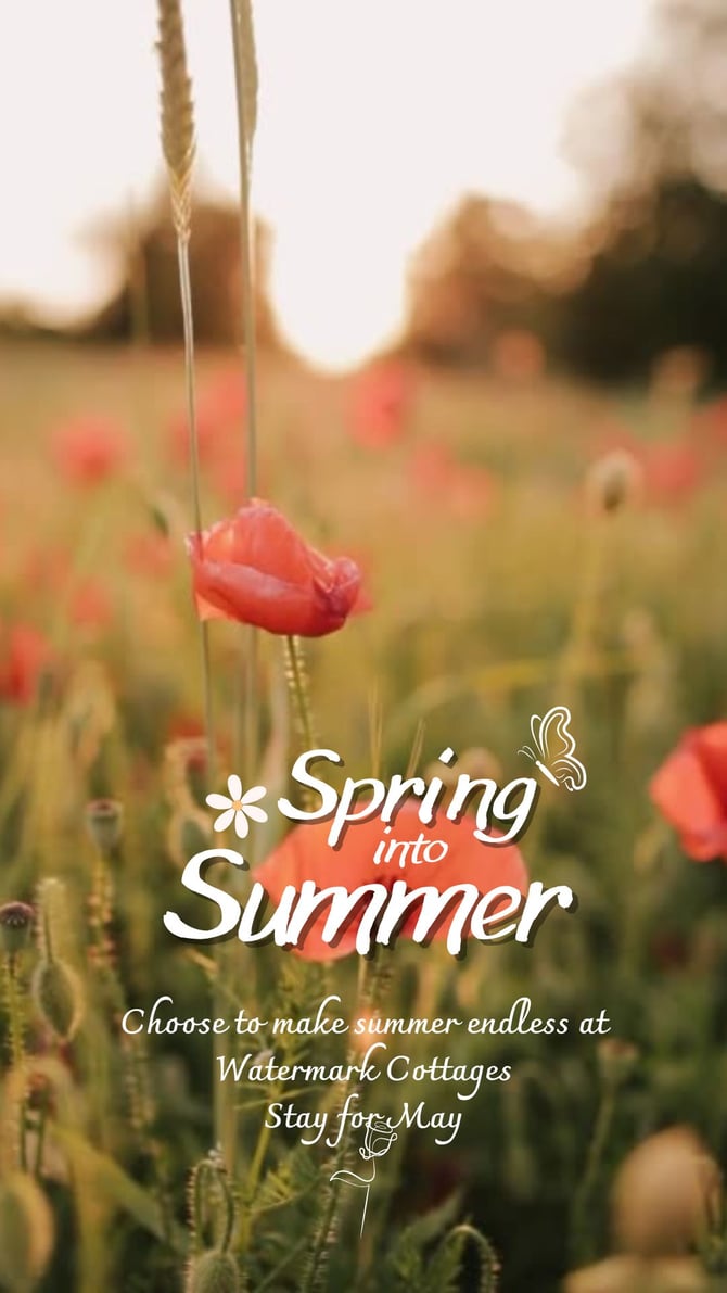 Spring Program