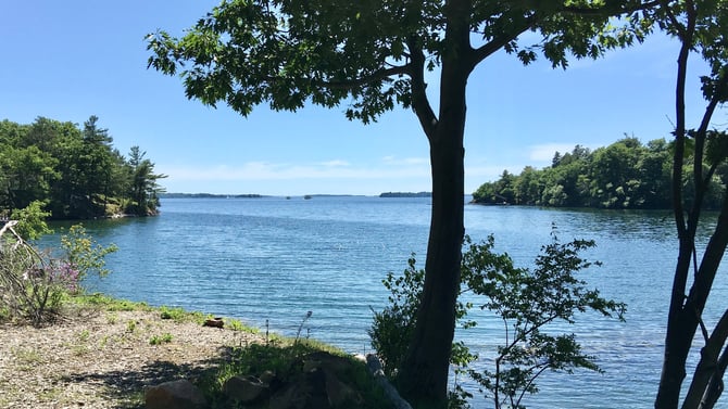 Luxurious Cottages: Your Ideal Getaway Guide